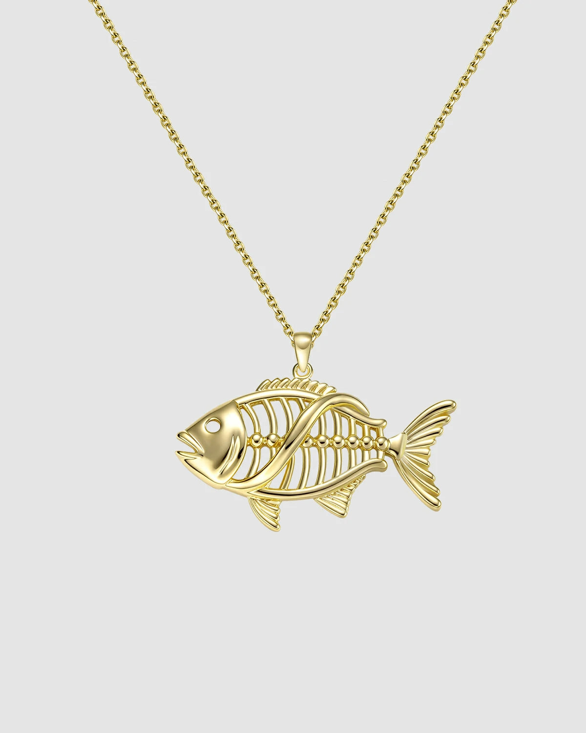 Fish bone Pendant
DNA Pendant
925 Silver Pendant
Gene Jewelry
Evolution Jewelry
Fish bone Gene
Statement Necklace
Silver Necklace
Symbolic Pendant
Unique DNA Jewelry