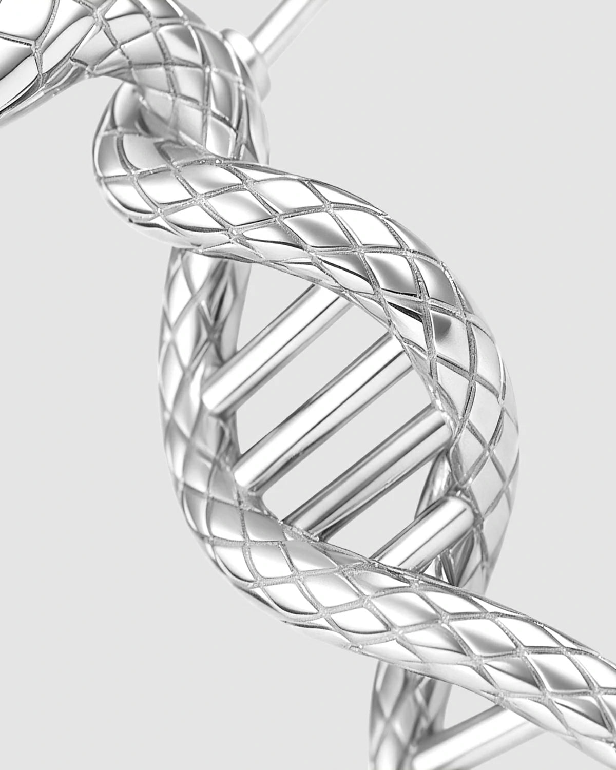 Scarlet-Eyed Serpent Asymmetric Earrings
DNA Chain Snake Earrings
Ruby Snake Head Earrings
Unique Design Asymmetric Earrings
Life Symbol Snake Earrings
Personalized DNA Chain Earrings
Luxury Serpent Totem Earrings
Designer Asymmetric Earrings
One-of-a-Kind Snake DNA Earrings