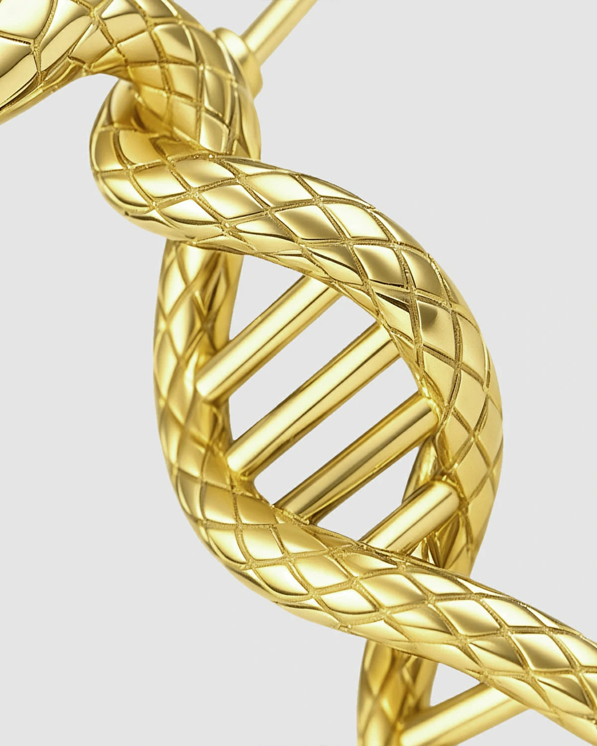 Scarlet-Eyed Serpent Asymmetric Earrings
DNA Chain Snake Earrings
Ruby Snake Head Earrings
Unique Design Asymmetric Earrings
Life Symbol Snake Earrings
Personalized DNA Chain Earrings
Luxury Serpent Totem Earrings
Designer Asymmetric Earrings
One-of-a-Kind Snake DNA Earrings